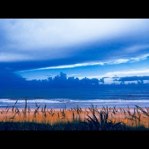 Meet your Posher, Isabella